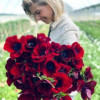 Thank you Adene Flowers (South Africa)