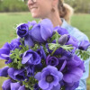 Thank you Little Farm House Flowers for Coloring the World with us!