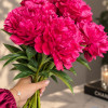 Avis Varner - Peonies Thumbnail #1