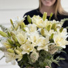 Belvedere - Double / Pollen-less LxA Hybrid Lilies Thumbnail #1