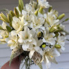 Belvedere - Double / Pollen-less LxA Hybrid Lilies Thumbnail #2