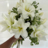 Blizzard - Double / Pollen-less OxT Hybrid Lilies Thumbnail #2