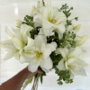 Blizzard - Double / Pollen-less OxT Hybrid Lilies Thumbnail #1