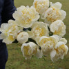 Bridal Shower - Peonies Thumbnail #2