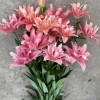 Butterfly Blossom (aka Frontline) - Double / Pollen-less LxA Hybrid Lilies Thumbnail #2