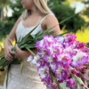 Cera Corfina - Gladiolus Thumbnail #2