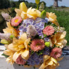 Charming Beauty - Double / Pollen-less LxA Hybrid Lilies Thumbnail #1
