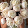 Colonel Owen Cousins - Peonies Thumbnail #1