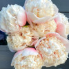 Thank you Petal Pink Flowers for Coloring the World with us!