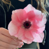 Mistral Rosa Chiaro - Mistral Anemone Thumbnail #1
