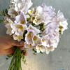 Lavender Steel - Freesia Thumbnail #1