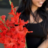 Live Oak - Gladiolus Thumbnail #1