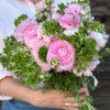 Cloni Success Green Pink - Cloni® Ranunculus Thumbnail #2