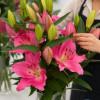 Imax - Oriental Hybrid Lilies Thumbnail #1