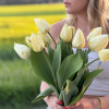 Ivory Florandale - Tulips Thumbnail #2