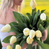 Ivory Florandale - Tulips Thumbnail #1
