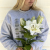 Chardonnay - Double / Pollen-less Oriental Hybrid Lilies Thumbnail #1