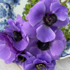 Mistral Blu - Mistral Anemone Thumbnail #2