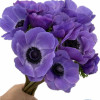 Mistral Blu - Mistral Anemone Thumbnail #2