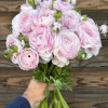 Cloni Success Nebbia 781pc - Cloni® Ranunculus Thumbnail #1