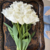 Noordeinde - Tulips Thumbnail #2