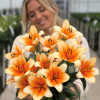 Orange Emperor - OxT Hybrid Lilies Thumbnail #1