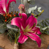 Palazzo - OxT Hybrid Lilies Thumbnail #2