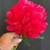 Belgravia - Peonies Thumbnail #2
