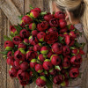 Red Charm - Peonies Thumbnail #1