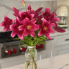 Redford - OxT Hybrid Lilies Thumbnail #2