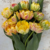 Sprinkle Dip - Tulips Thumbnail #2