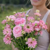 Natura Moderna Venus (804 mnd) - Natura Moderna® Ranunculus Thumbnail #2