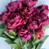Alison Bradley - Tulips Thumbnail #1