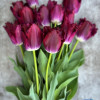 Purple Crystal - Tulips Thumbnail #1