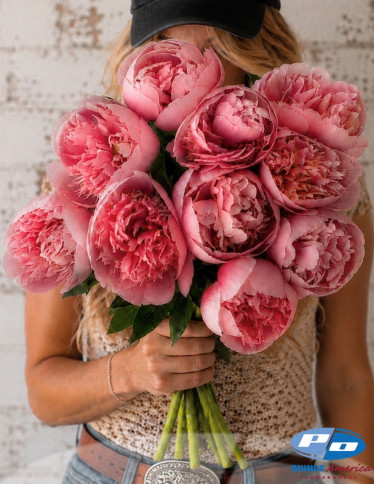 Peonies - Etched Salmon