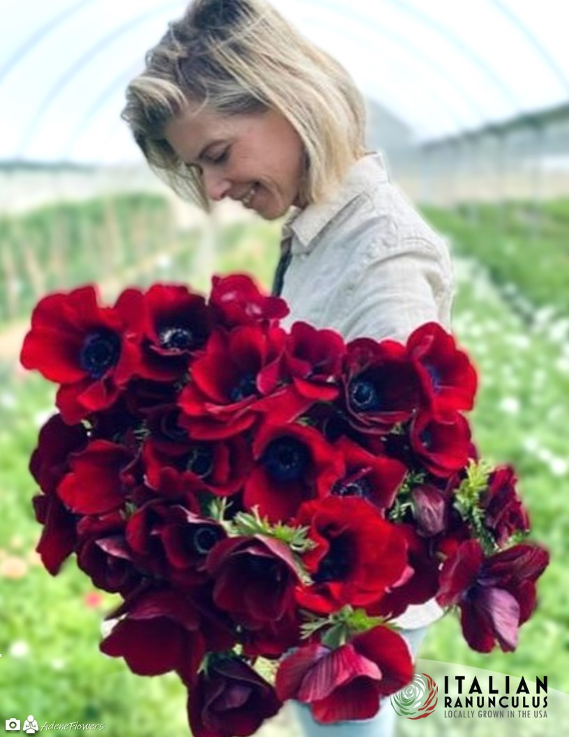 Thank you Adene Flowers (South Africa)