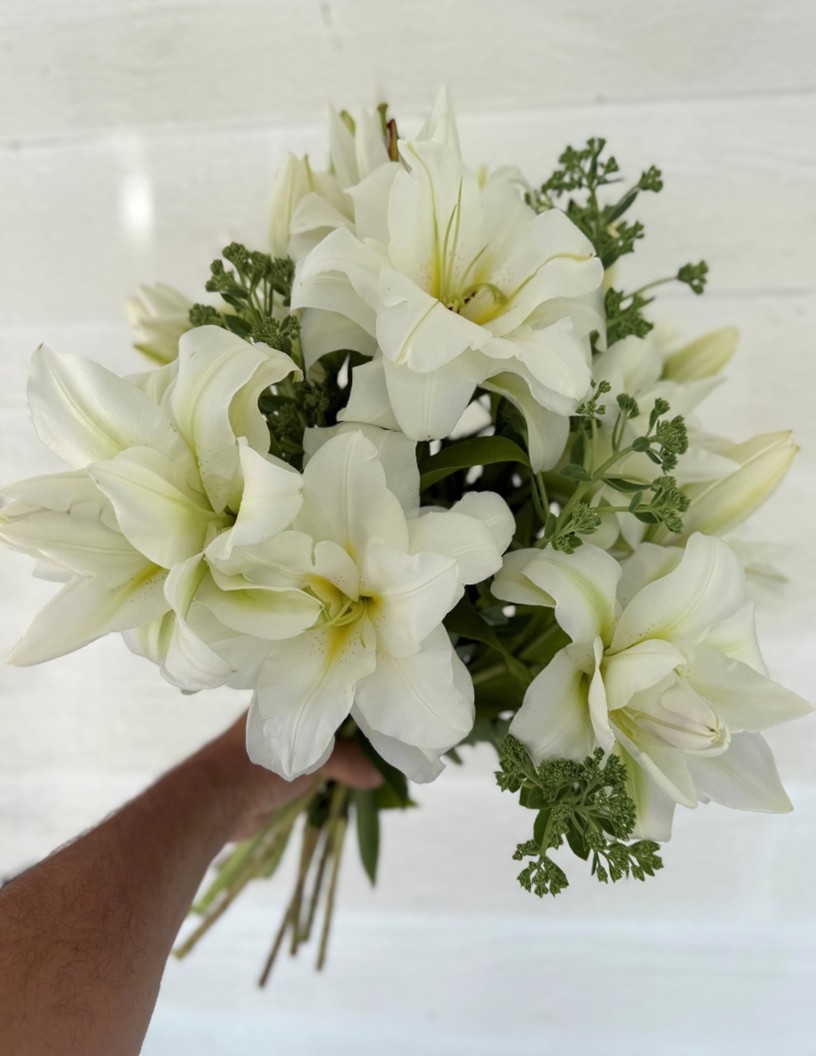 Blizzard - Double / Pollen-less OxT Hybrid Lilies Photo #2