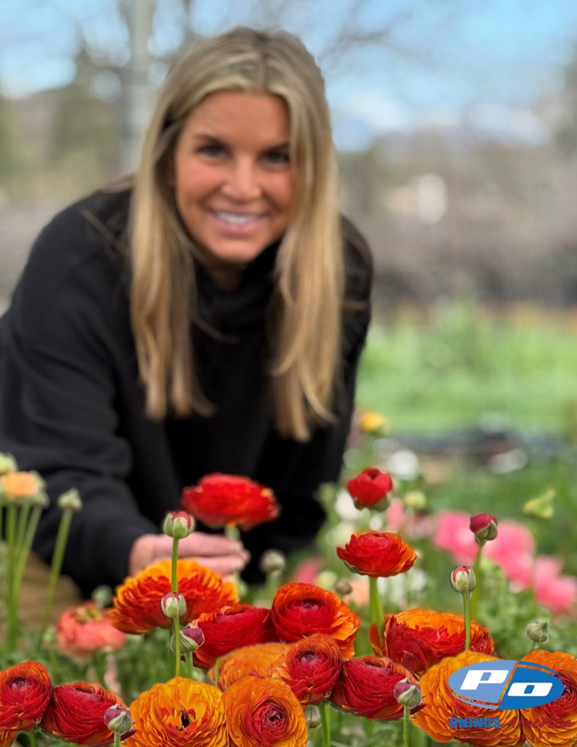 Cloni Success Brownie (700 MAR) - Cloni® Ranunculus Photo #2