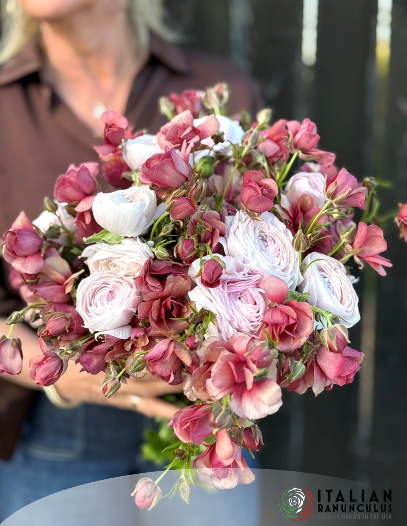 Natura Moderna Energia (832MDN) - Natura Moderna® Ranunculus Photo #2