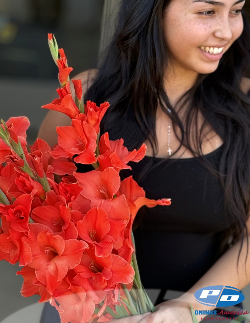 Live Oak - Gladiolus Photo #1