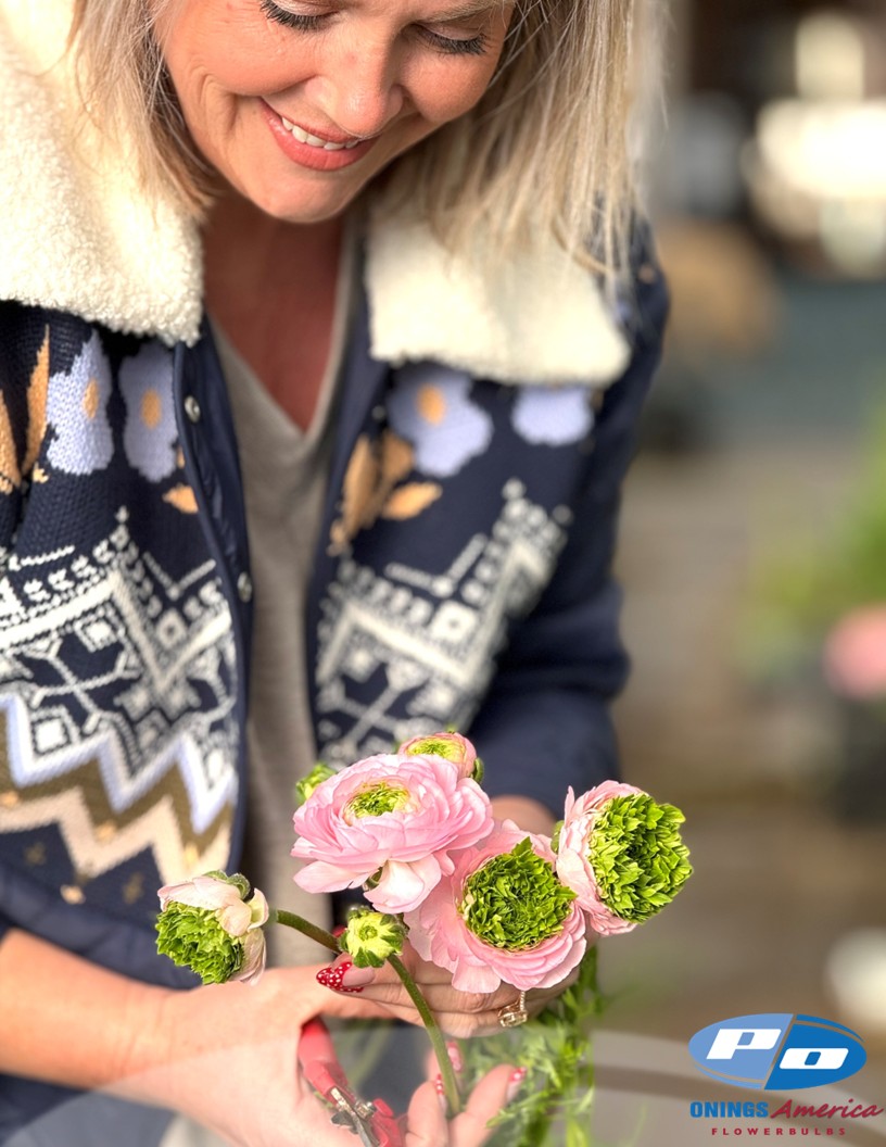 Cloni Success Green Pink - Cloni® Ranunculus Photo #2