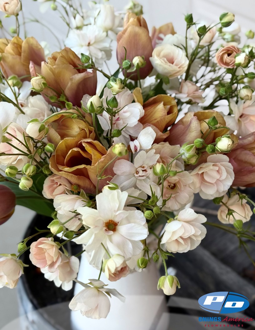 Natura Moderna 1850 (new) - Natura Moderna® Ranunculus Photo #2