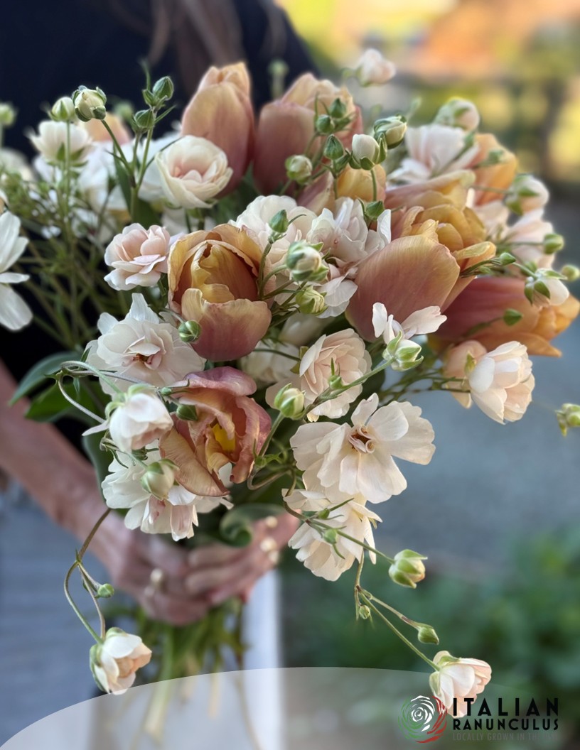 Natura Moderna 1850 (new) - Natura Moderna® Ranunculus Photo #2