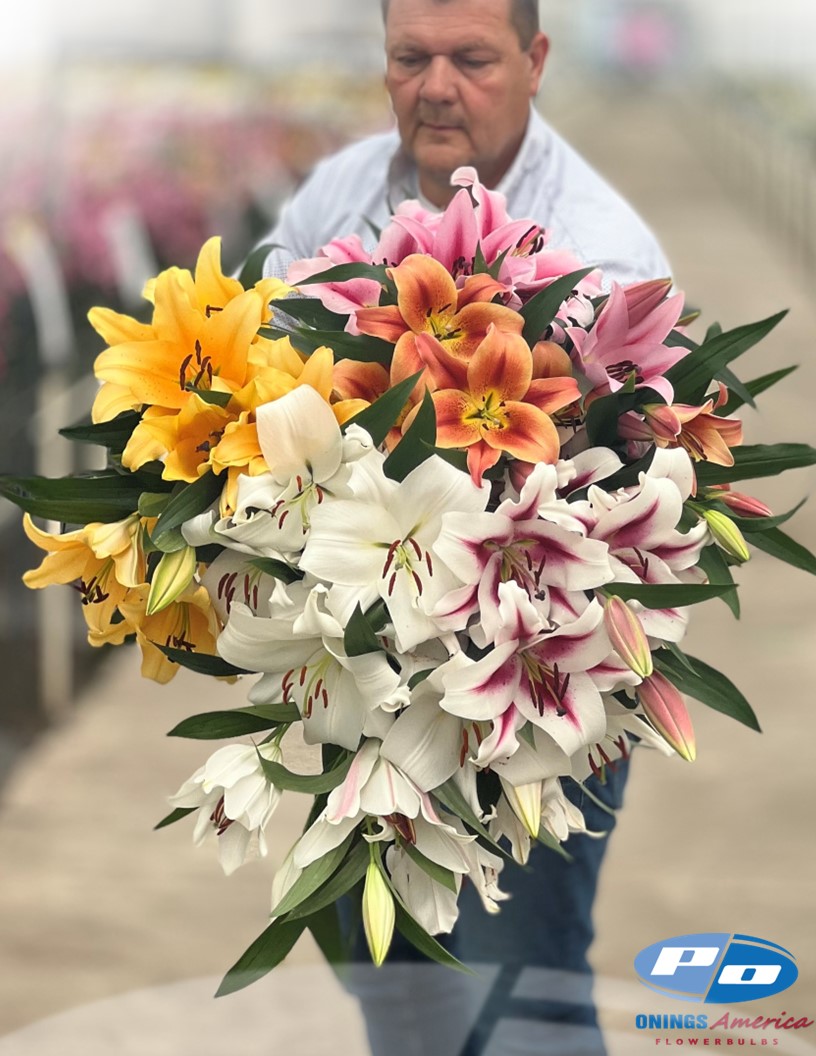 Part of our OxT lily mix